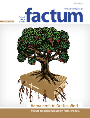 Factum 03/2025