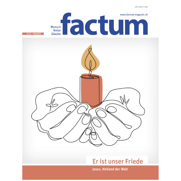 Factum 06/2025