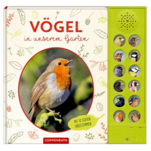 Vögel in unserem Garten