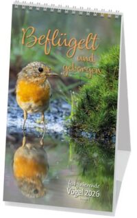 Beflügelt und geborgen - Postkartenkalender