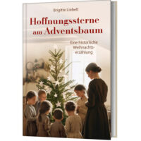Hoffnungssterne am Adventsbaum - Brigitte Liebelt