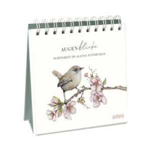 AugenBlicke - Aufstellbuch