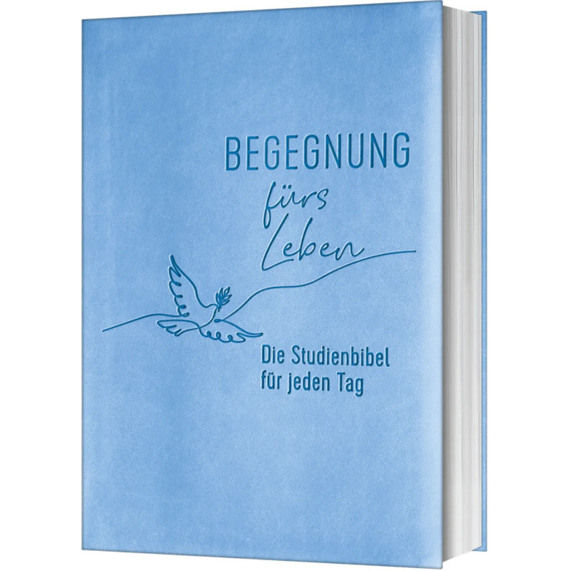 Begegnung fürs Leben, Kunstleder - NLB