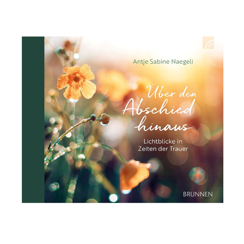 Über den Abschied hinaus - Antje Naegeli